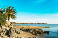 From Buenos Aires, Colonia Ferry Tickets and Optional Tour - Housity