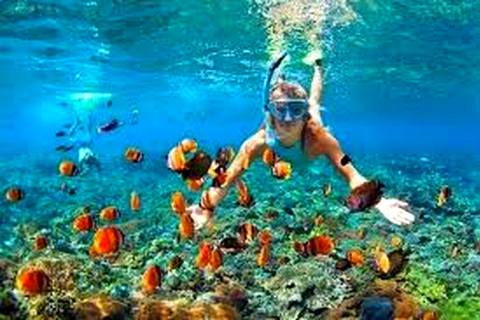 Colombo: Private 2-Day Hikkaduwa & Galle Tour