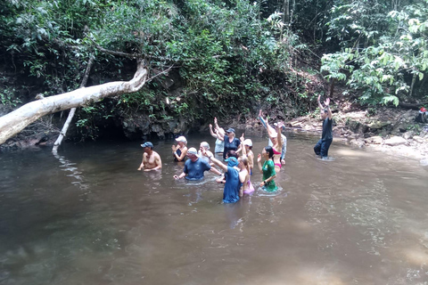 From Phuket: Guided Rainforest Hike with Lunch