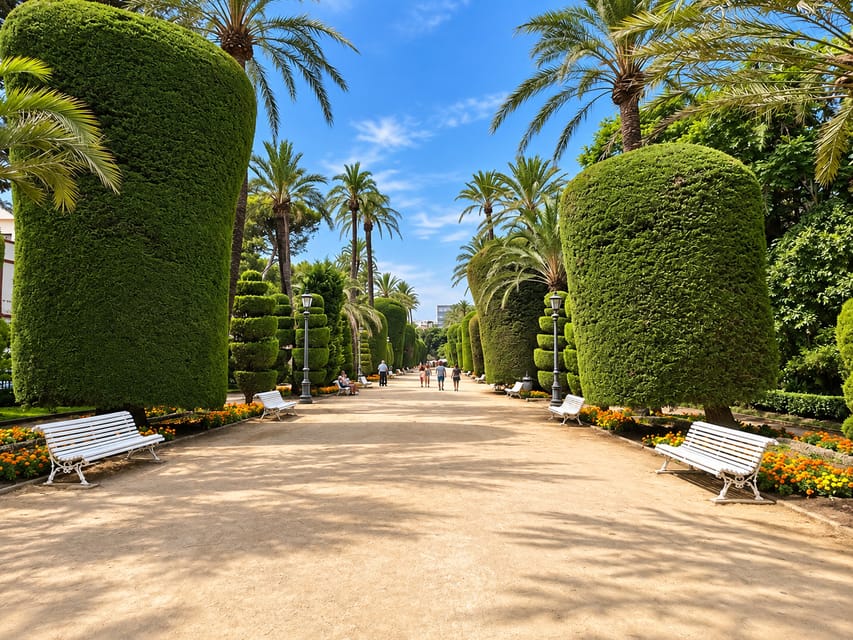 Sandy path with white park benches between tall rounded hedges and palm trees in a park
