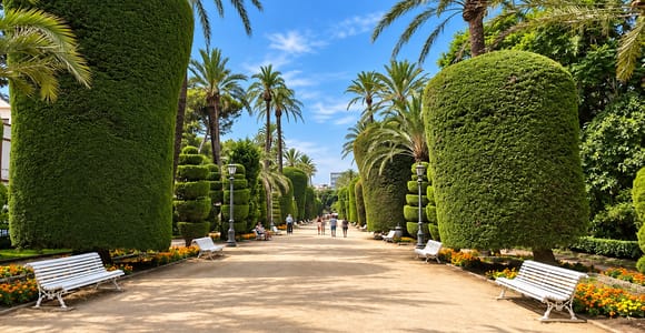 English Cádiz Tour: Walking Tour with Local Guide