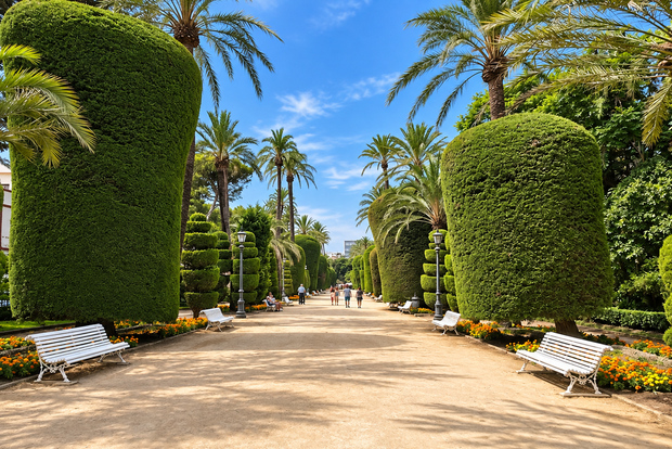 English Cádiz Tour: Walking Tour with Local Guide