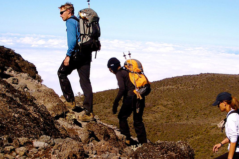 7-Day: Kilimanjaro Trek via Machame Route