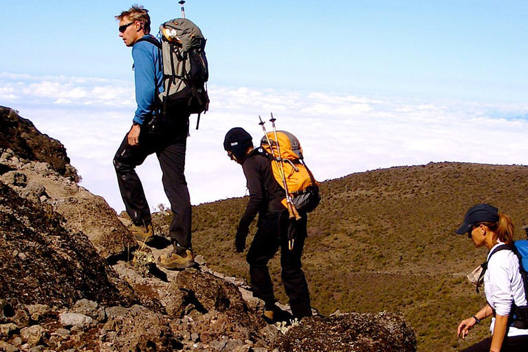7-Day: Kilimanjaro Trek via Machame Route