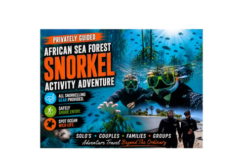 Private Guided Snorkeling Experience-The African Sea Forest