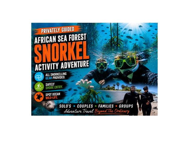 Private Guided Snorkeling Experience-The African Sea Forest