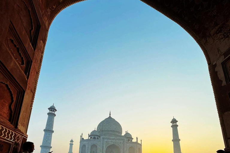 Desde Delhi: Excursión privada de un día al Taj Mahal y al Elefante SOSTour privado con ticket de entrada y almuerzo buffet