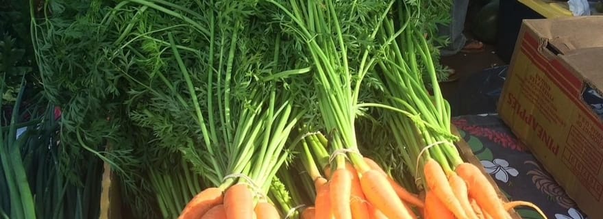 Kauai : visite dégustation du marché fermier