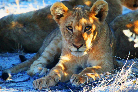 Namibia: 10-Day Highlights Tour with Accommodation