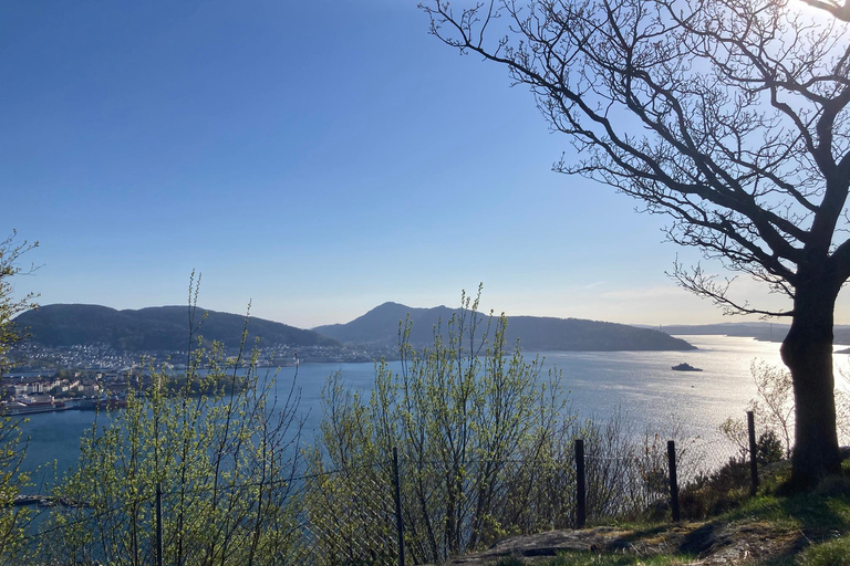 Bergen: Scenic Mountain Hike with Local Guide, Coffee&Snacks Bergen: Scenic Mountain Hike with LocalGuide, Coffee&Snacks