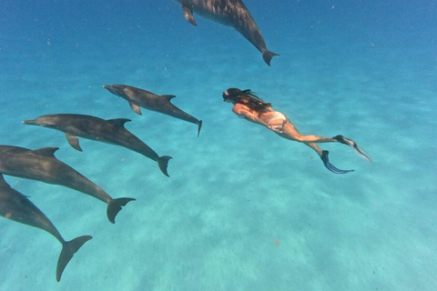 Mnemba Island: Delfinskådning och snorkling båtturMnemba Island: Delfinskådning och snorkling med båt