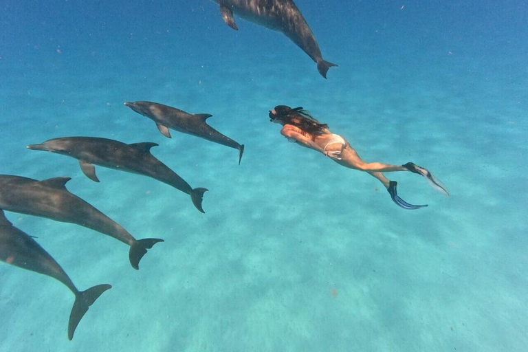 Mnemba Island: Delfinskådning och snorkling båtturMnemba Island: Delfinskådning och snorkling med båt