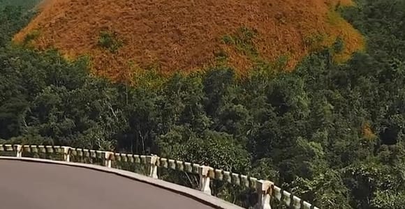 Bohol: 3-Day Package with Whale Sharks & Chocolate Hills