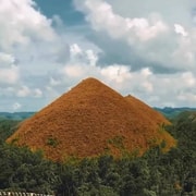 Bohol: 3-Day Package with Whale Sharks & Chocolate Hills Bohol: 3-Day Package with Whale Sharks & Chocolate Hills
