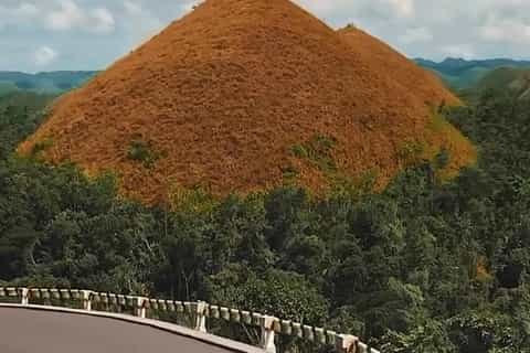 Bohol: 3-Day Package with Whale Sharks & Chocolate Hills - Image 3