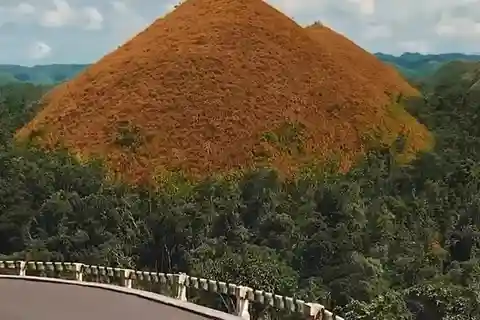 Bohol: Chocolate Hills e Tarsiers essenciais com recolha