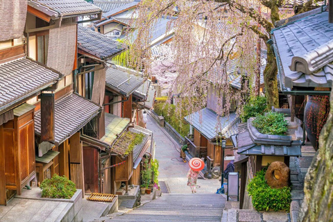 Kyoto Full-Day Customizable Group Tour with English Guide
