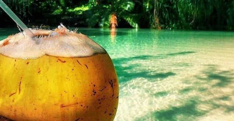 Floyd's Pelican Bar and Appleton Estate Rum Experience | GetYourGuide