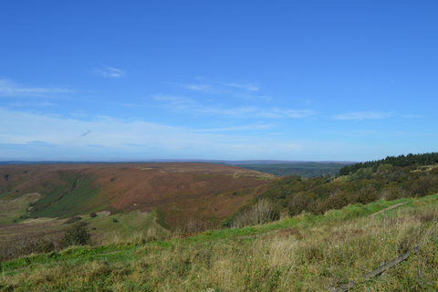 Private Castle Howard & North York Moors from York