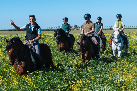 Horseback ride around Doñana National Park Horseback riding around Doñana National Park