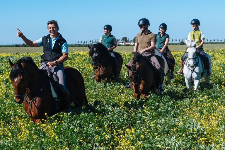 Horseback ride around Doñana National Park Horseback riding around Doñana National Park