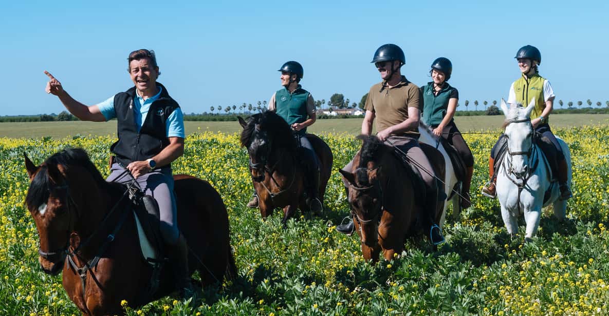 Afbeelding 10 van Paardrijden rond het Nationaal Park Doñana