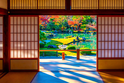 Osaka/Kyoto: Arashiyama, Nara Park & Fushimi Inari Day Tour Kyoto Departure: Private Sightseeing Tours