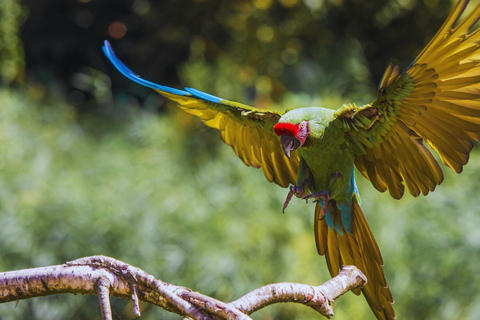 Private Kayaking Adventure: a 2-hour Wildlife Escape Self-Guided Kayaking Adventure: a 2-hour Wildlife Escape