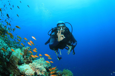 Hurghada: Scuba Diving for Certified Divers & Beginners Boat trip for the Certified Divers with Lunch & Transfer