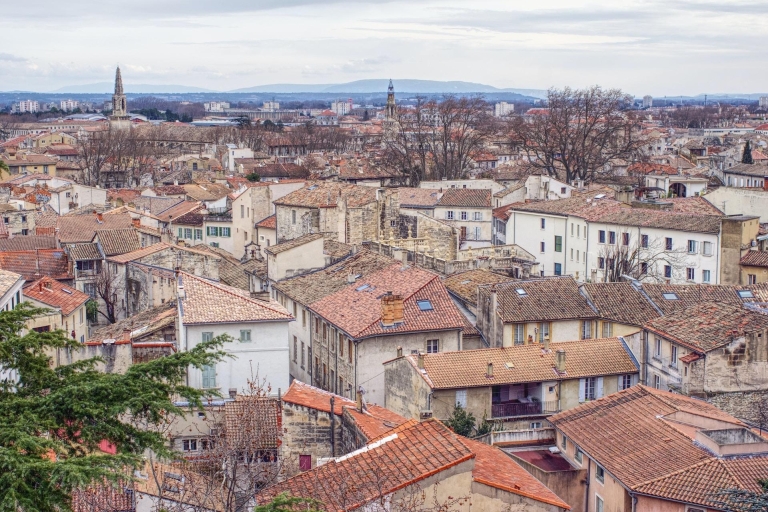 Avignon: Tour with Private Guide