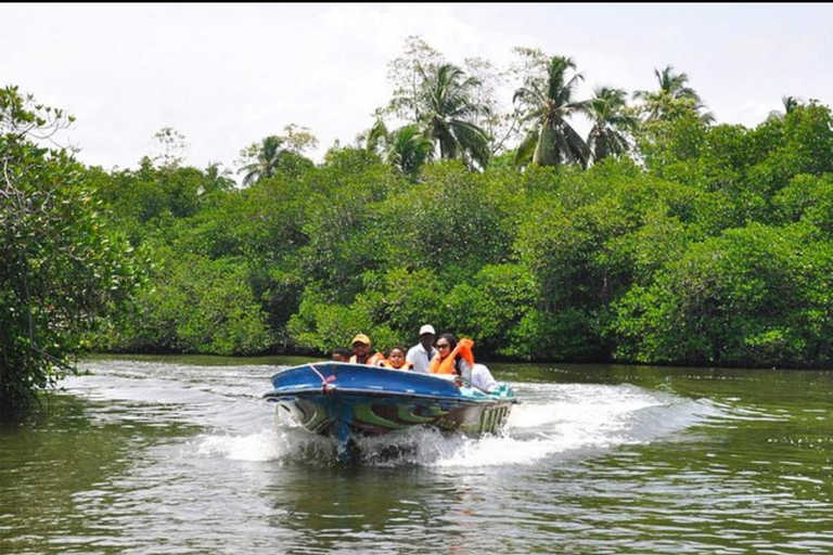 ️ Smooth Ride: Colombo Airport to South Coast Highlights ✨