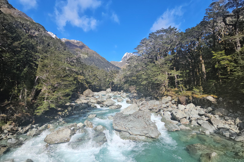 Queenstown: Geführte Ganztages- oder Halbtageswanderung auf dem Routeburn TrackRouteburn Track – geführter Naturrundgang – halbtägig