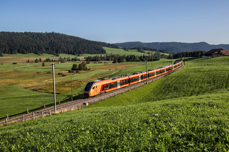 Voralpen-Express: Journey between St. Gallen and Arth-Goldau One-way ticket from Arth-Goldau to St. Gallen (1st class)