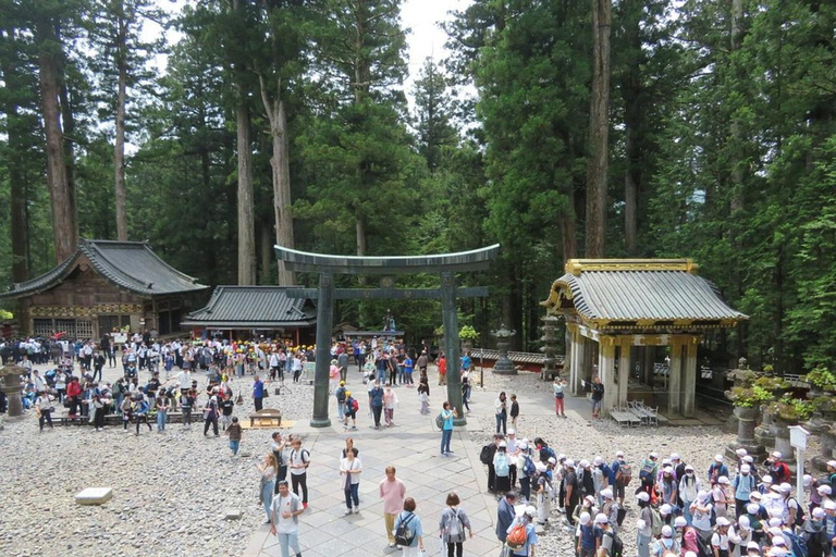 L&#039;aventure d&#039;élite de Nikko : Visite guidée privée