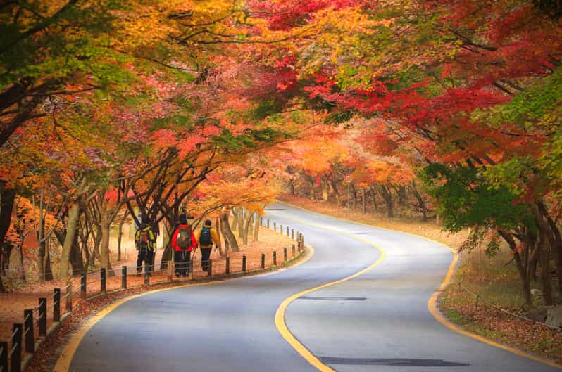 From Seoul: Naejangsan or Instagrammable Fall Foliage Tour