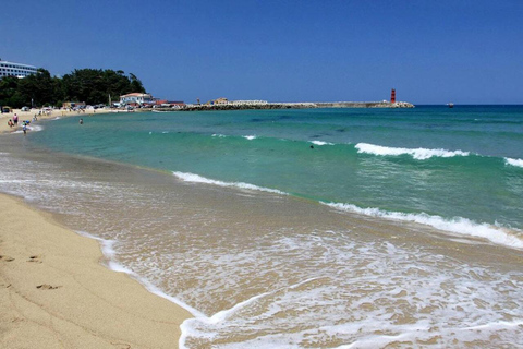 From Seoul: Seoraksan, Naksansa & Naksan Beach Private Tour Group Tour Option Only Thursday