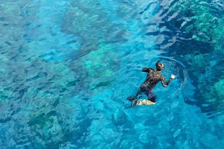 Depuis Cancun : Musée sous-marin de plongée avec masque et tubaPlongée en apnée