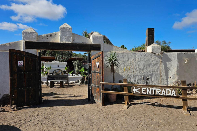 Camel Ride, Farm Visit and aperitive Pack Basic