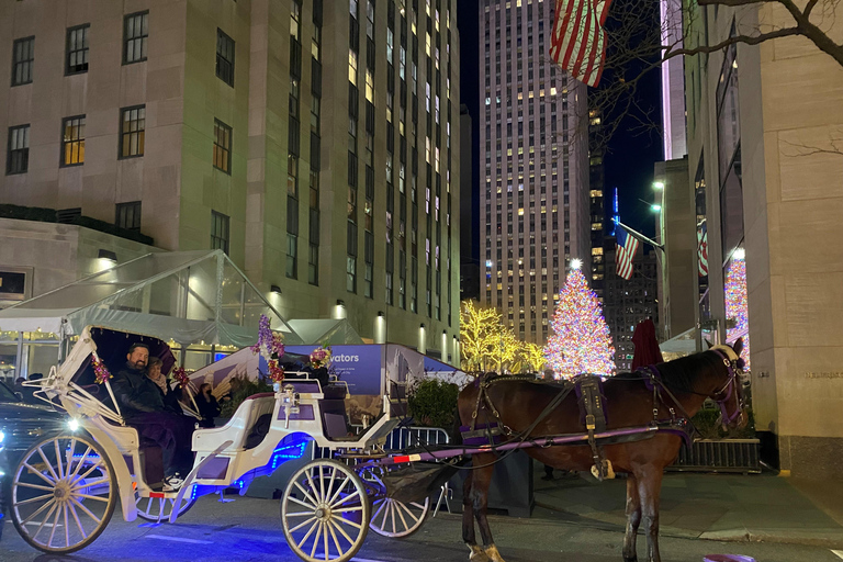 NYC: Paseo Privado en Coche de Caballos por las Luces de Navidad