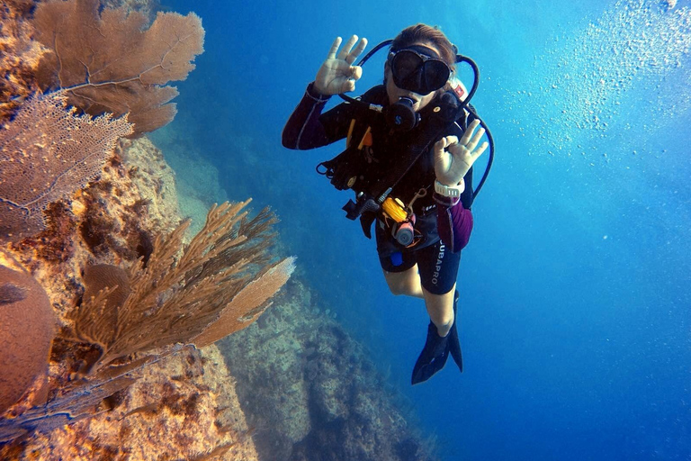 Bávaro: Excursão de mergulho na Ilha Catalina com churrasco e bebidasBávaro: Passeio de mergulho na Ilha Catalina com churrasco e bebidas