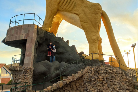 Puno: Airport transfer to Puno with a tour of the Sillustani Chullpas