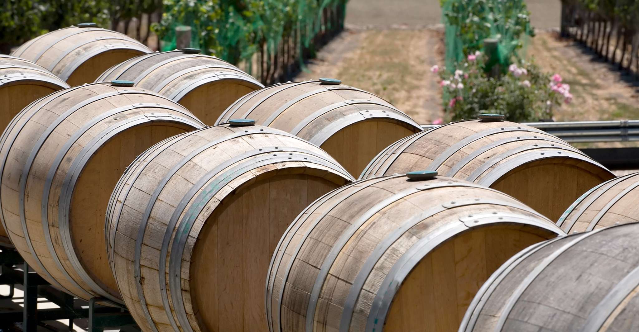 Santa Barbara, Wine Country Tour con pranzo - Hizvo