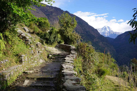 From Pokhara: 6-Day Lower Mustang and Poon Hill Trek