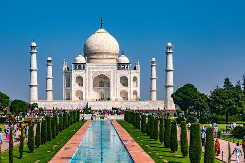 Van Delhi: All-inclusive Taj Mahal Sunrise & Agra Fort TourChauffeur + privéauto + gids