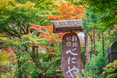 Kyoto & Nara: Private Guided Tour on Green Licensed Alphard