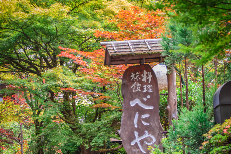 Kyoto & Nara: Private Guided Tour on Green Licensed Alphard