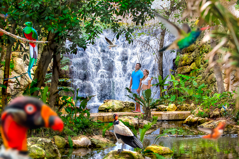 Xcaret Park: Full-Day Ticket with Night Show