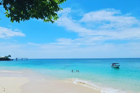 Panama City: Whale Watching Tour with Island Stop