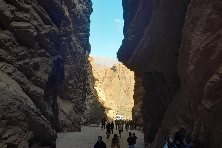 Full-day tour to Cafayate, Winery Visit and Wine Tasting