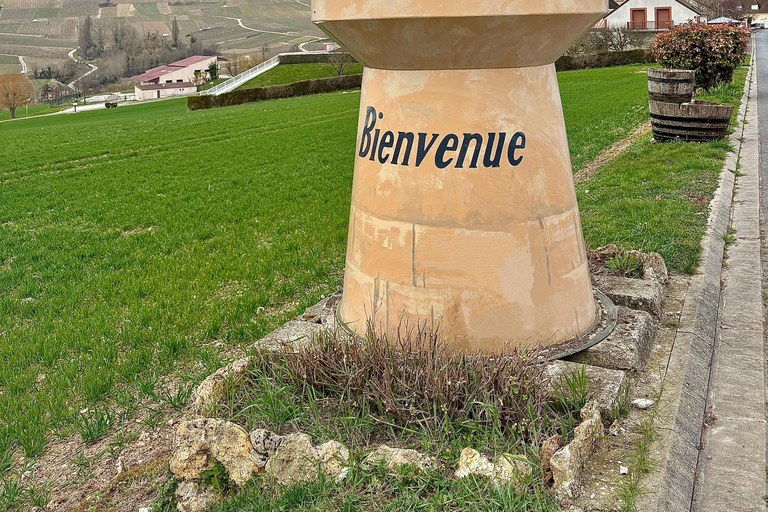 Champagne Day Tour Tours, tastings, and lunch included Champagne Tour Day Tours Tastings Lunch included